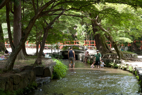 上賀茂神社 - 境内の小川