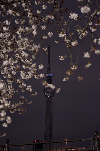 春の夜のスカイツリー