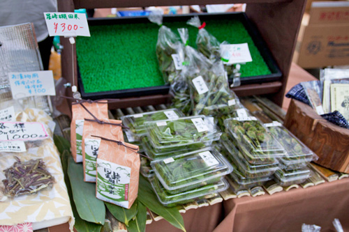 越後妻有の旬の野菜