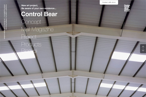Control Bear