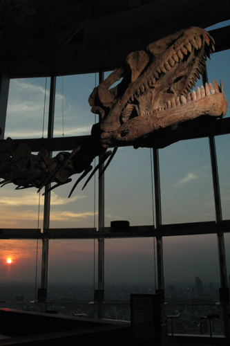 夕日をバックにレッセムサウルス？の骨格