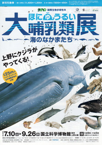 大哺乳類展-海のなかまたち チラシ