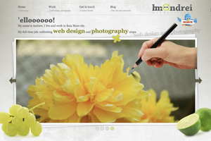 web design and photography in baia mare - hm-andrei.ro